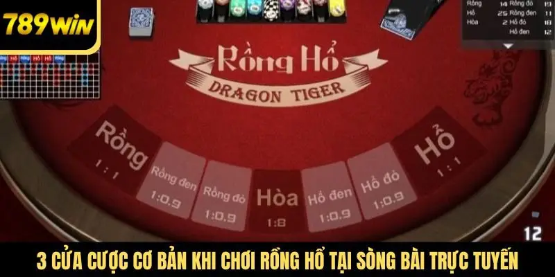 3 cửa cược cơ bản khi chơi Rồng Hổ tại sòng bài trực tuyến